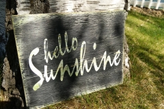 Painted Designs